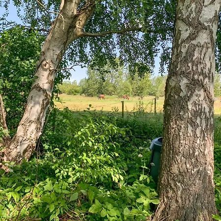 度假居 Beautiful In With Wifi Ølsted